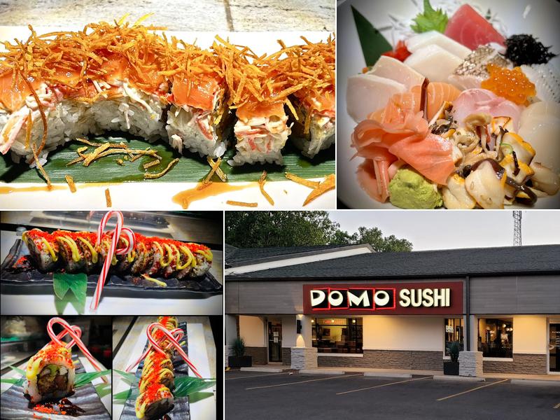 Domo Sushi 6725 Central Ave, Toledo