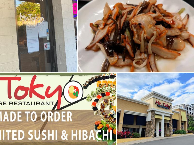 Mr Tokyo Japanese Restaurant