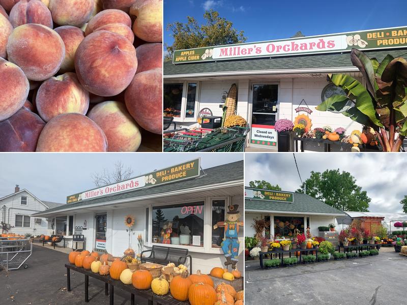 Miller's Orchard 14711 Clinton River Rd, Sterling Heights