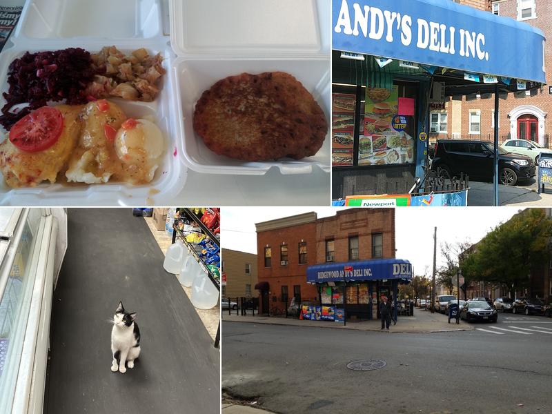 Ridgewood Andys Deli