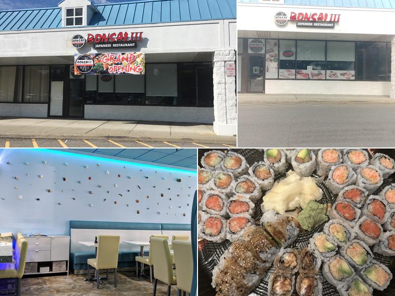 Bonsai 3 738 US-9, Fishkill