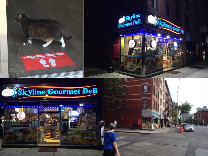 Skyline Gourmet Deli— Manhattan