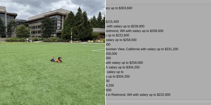 Microsoft Commons Menu