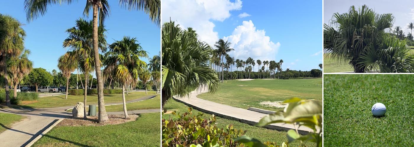 Links At Key Biscayne