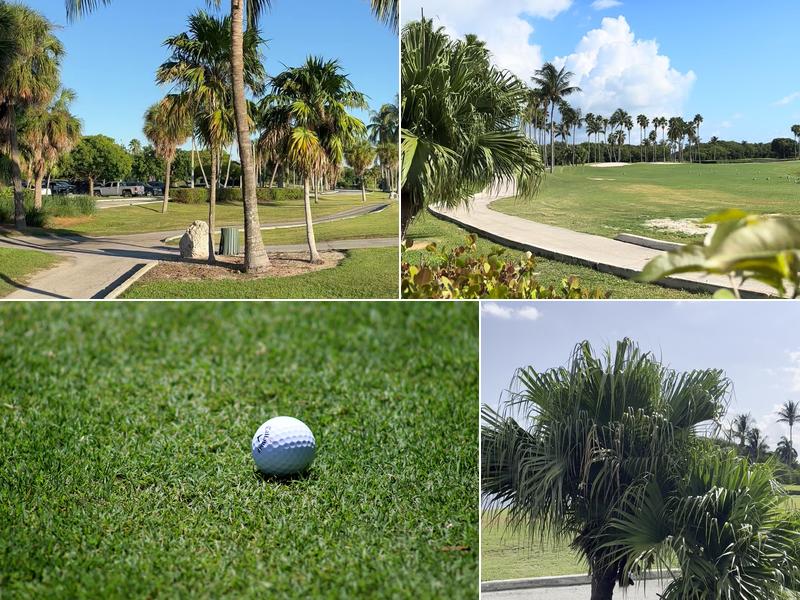 Links At Key Biscayne