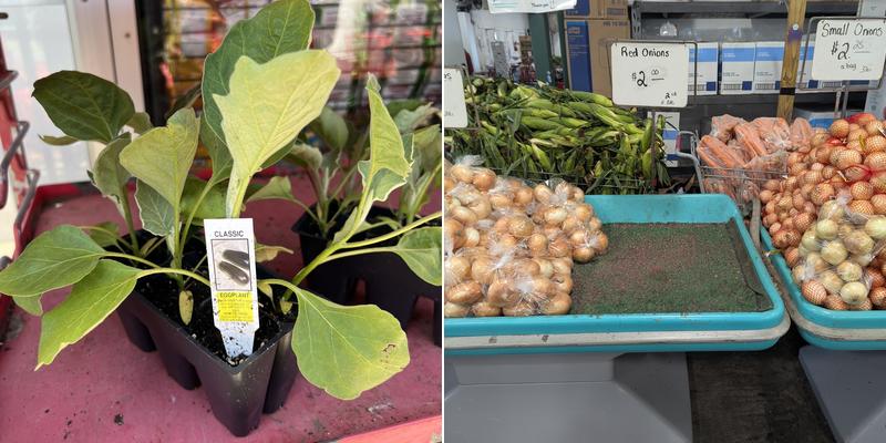 Verchio's Produce Outlet Menu