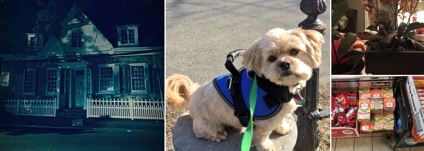 Peter B Deli & Grocery Inc