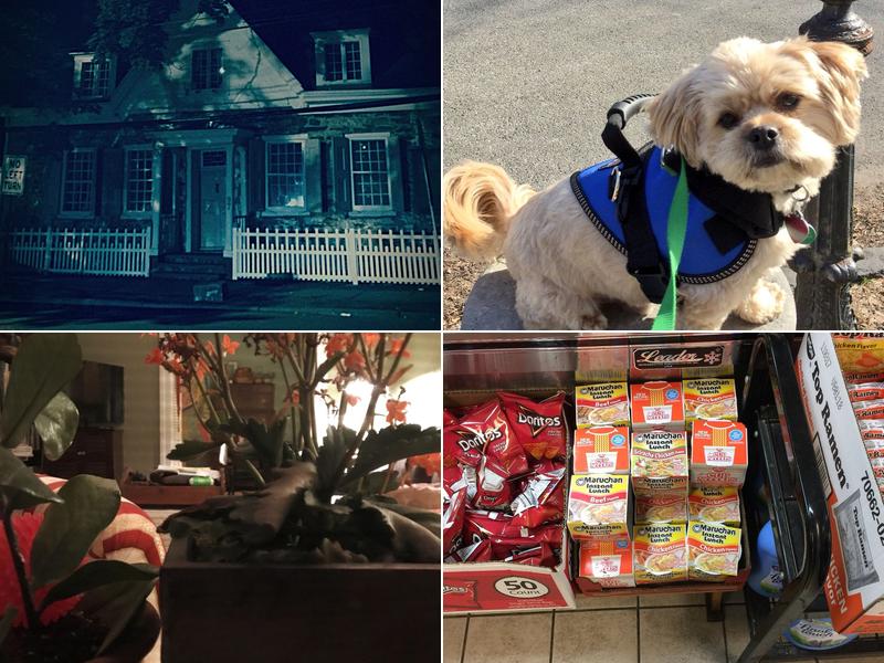 Peter B Deli & Grocery Inc