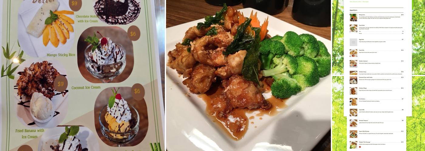 Planet Thai Menu