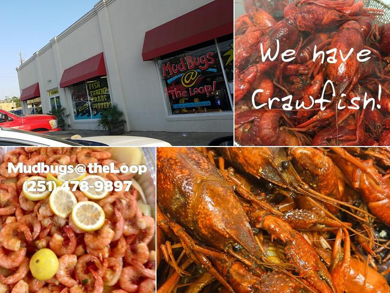 Mudbugs 2005 Government St, Mobile