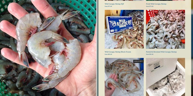 Anchored Shrimp Co. Menu