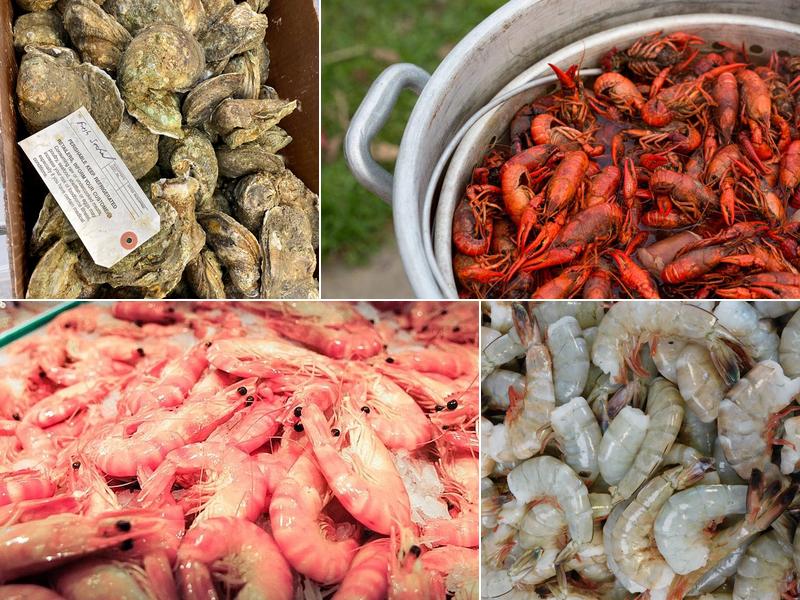 Fresh Seafood Distributors 9910 Milton Jones Rd, Daphne