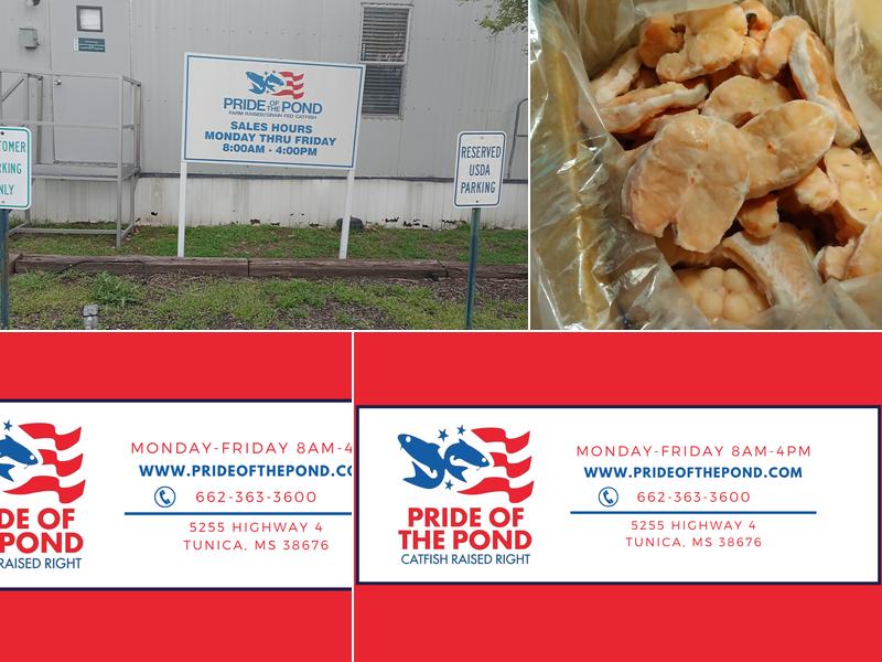 Pride of the Pond 5255 MS-4, Tunica