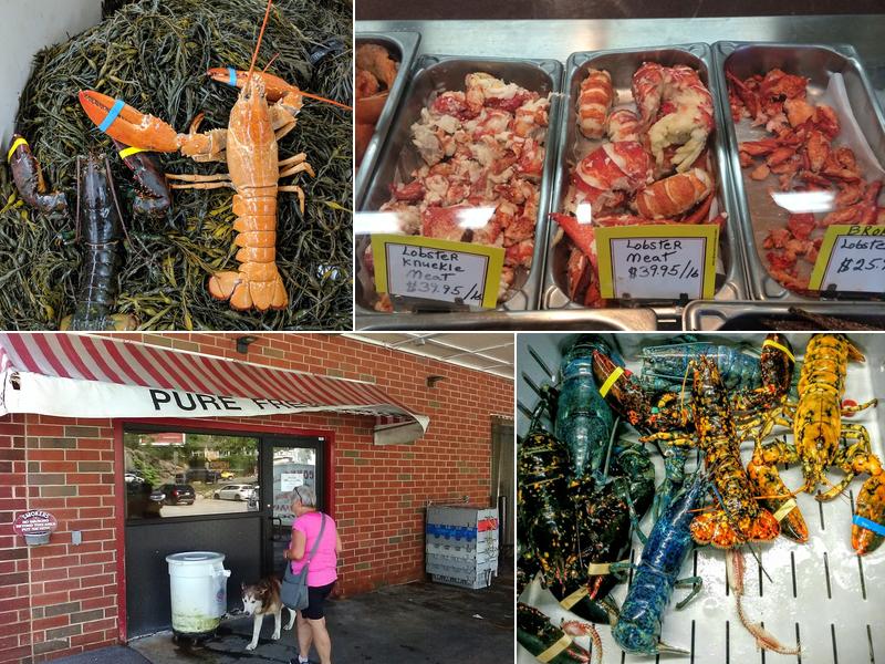 Steve Connolly Seafood Inc