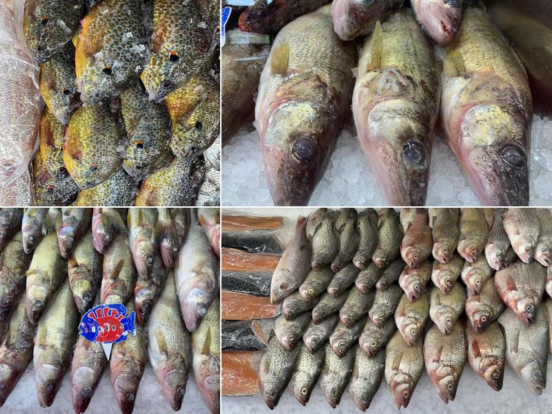 Mr Sea's Fresh Fish & Seafood