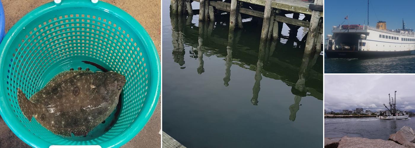 Narragansett Bay Lobsters Inc