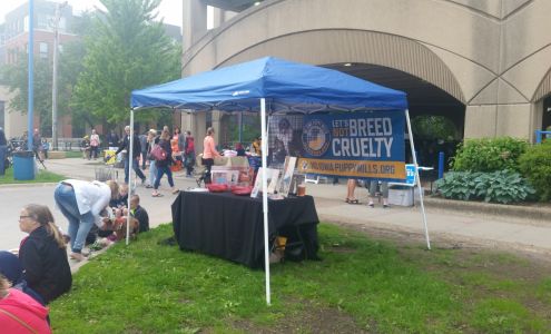 Iowa City Farmers Market