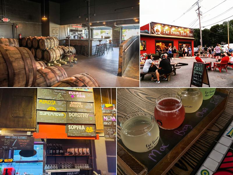 Far From The Tree 108 Jackson St, Salem