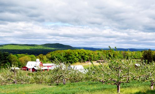 Bashista Orchards Southampton