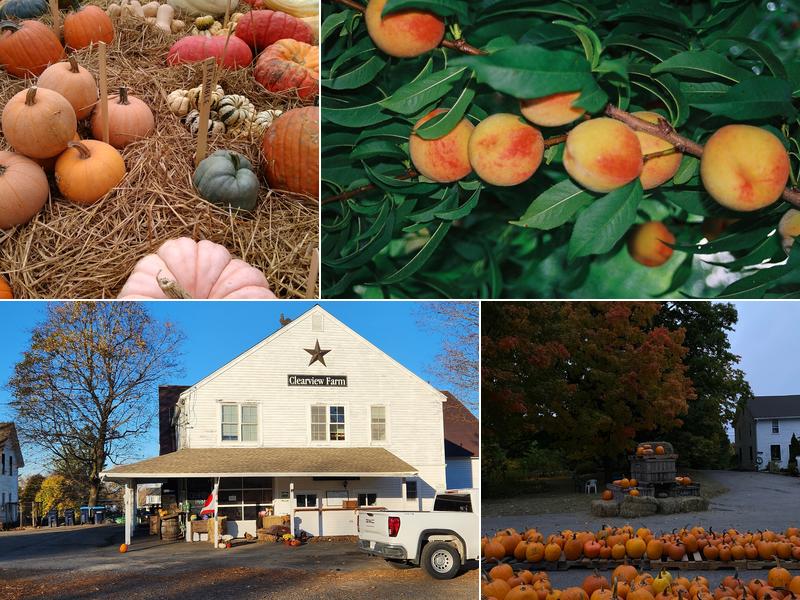 Clearview Farm 4 Kendall Hill Rd, Sterling