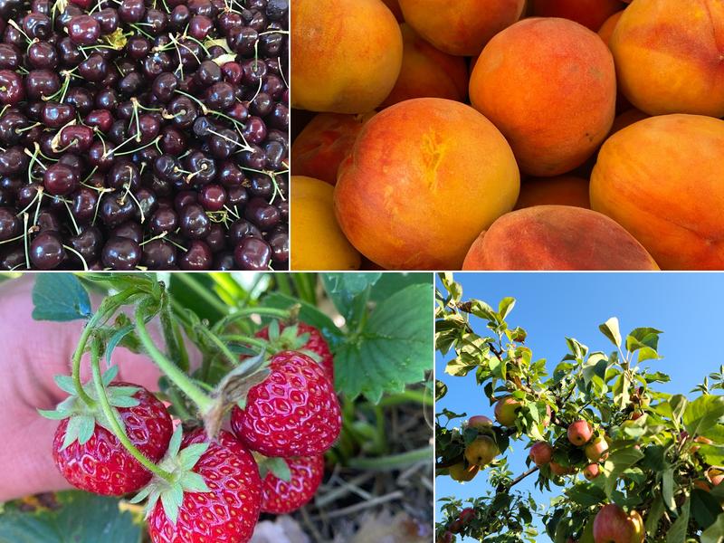 Walters' Fruit Ranch