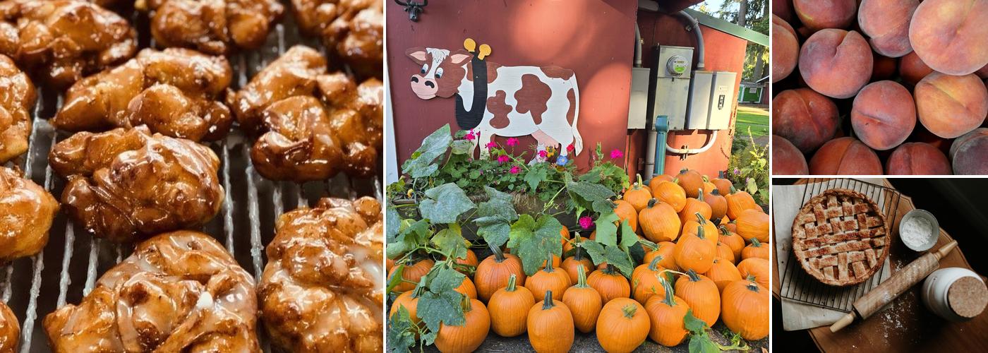 Lattin's Country Cider Mill and Farm