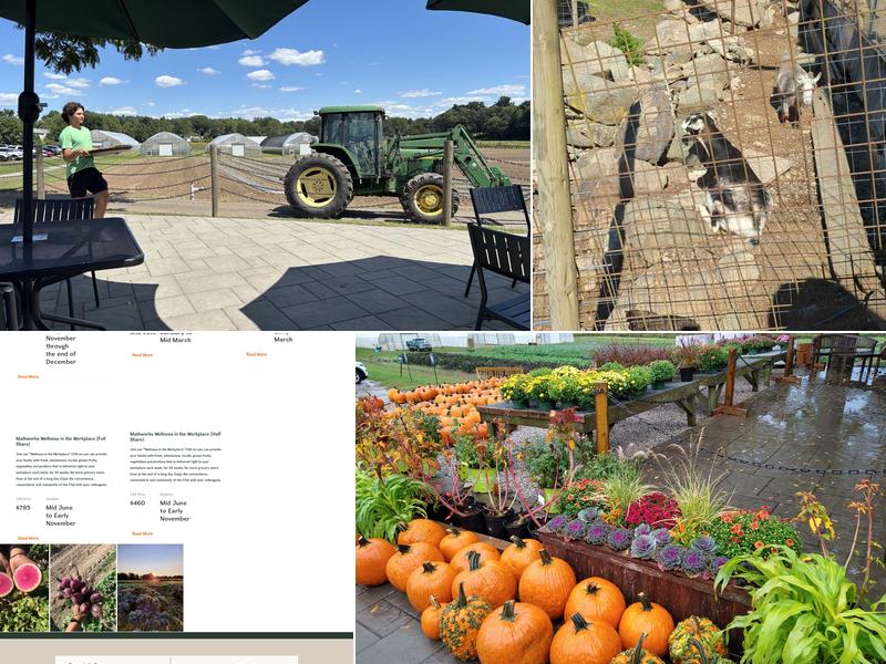 Tangerini's Spring Street Farm Menu