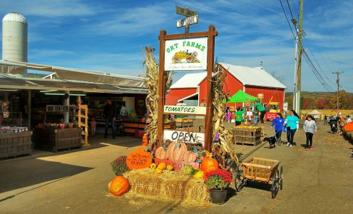 Ort Farms Long Valley