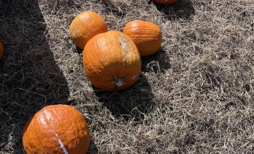 Wilkens Fruit & Fir Farm