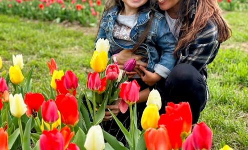 Kelder's Farm Kerhonkson