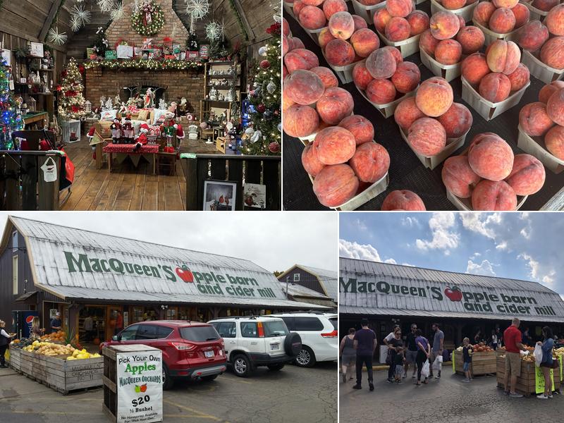 MacQueen Orchards 7605 Garden Rd, Holland