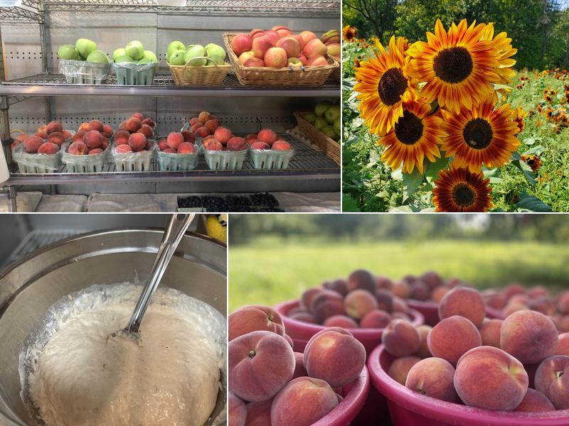 Pappy's Orchard & Lisa's Kitchen