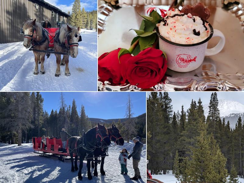 Golden Horseshoe Sleigh Rides 6061 Tiger Rd, Breckenridge