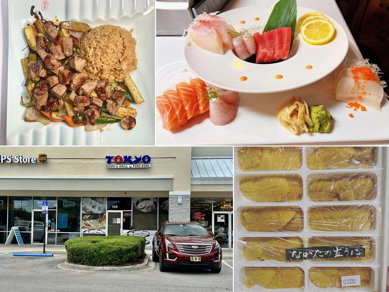 Tokyo Ramen & Sushi At Fruit Cove