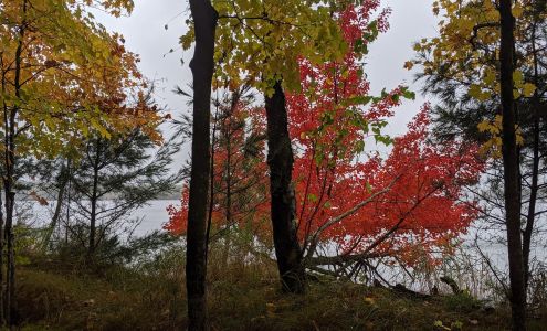 Bay Lake Retreat Center Deerwood