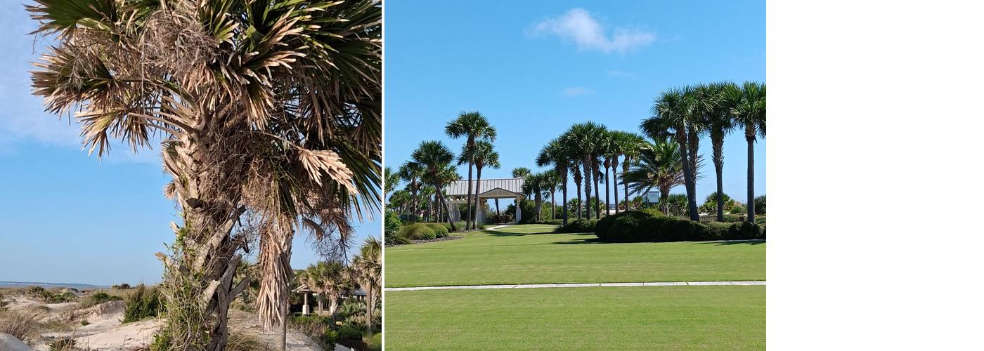 Jekyll Island Convention Center Menu