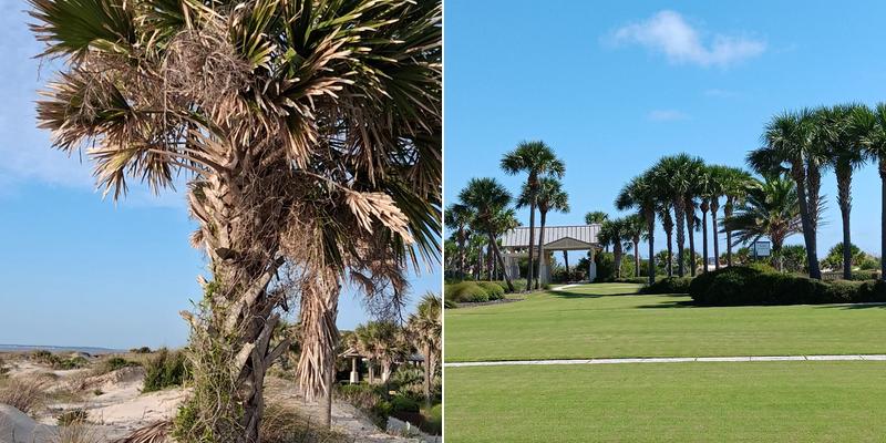 Jekyll Island Convention Center Menu