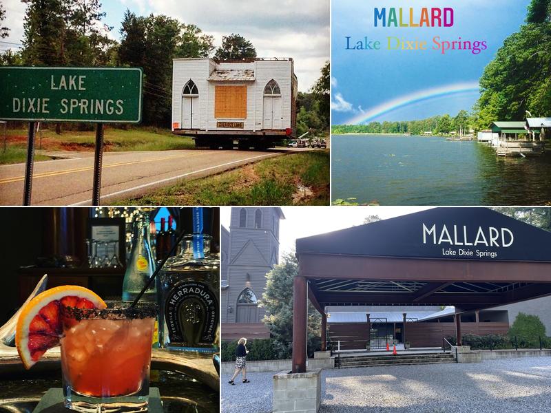 Mallard - Lake Dixie Springs