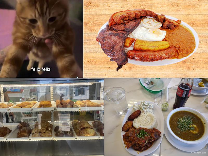 Bella's Bakery & Cafe 1389 Hempstead Turnpike, Elmont