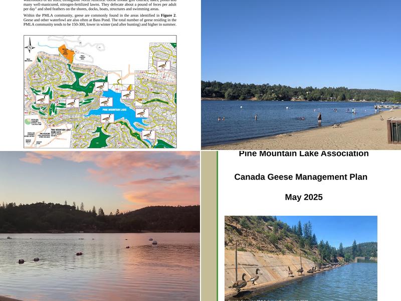 Marina Cafe Marina, 901102500 Pine Mountain Lake, 12495 Cassaretto Ct, Groveland