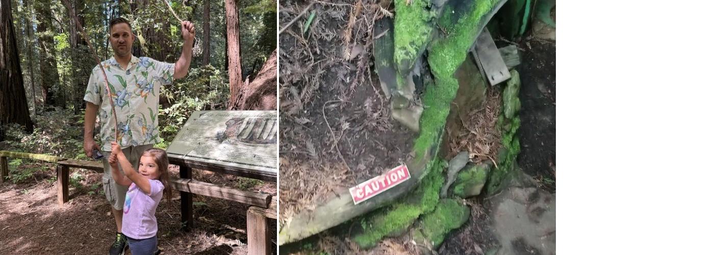 Eternal Tree House Menu