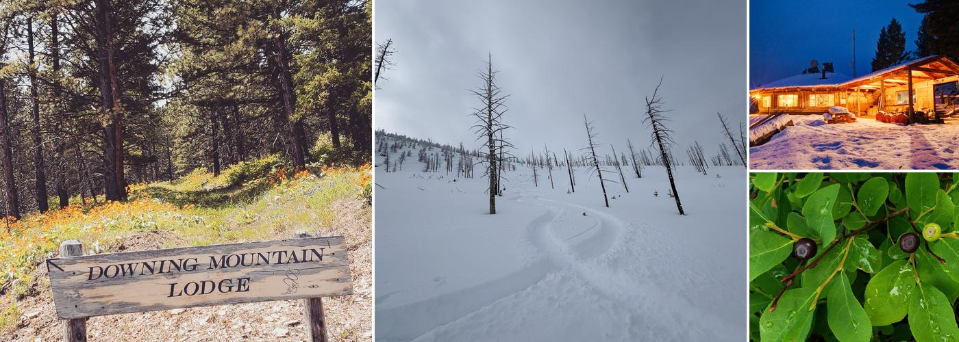 Downing Mountain Lodge and Guides