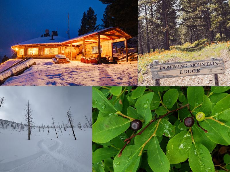 Downing Mountain Lodge and Guides