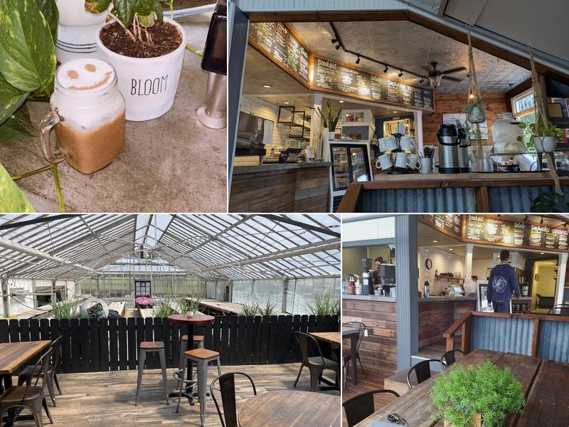 Bloom Coffeehouse & Eatery
