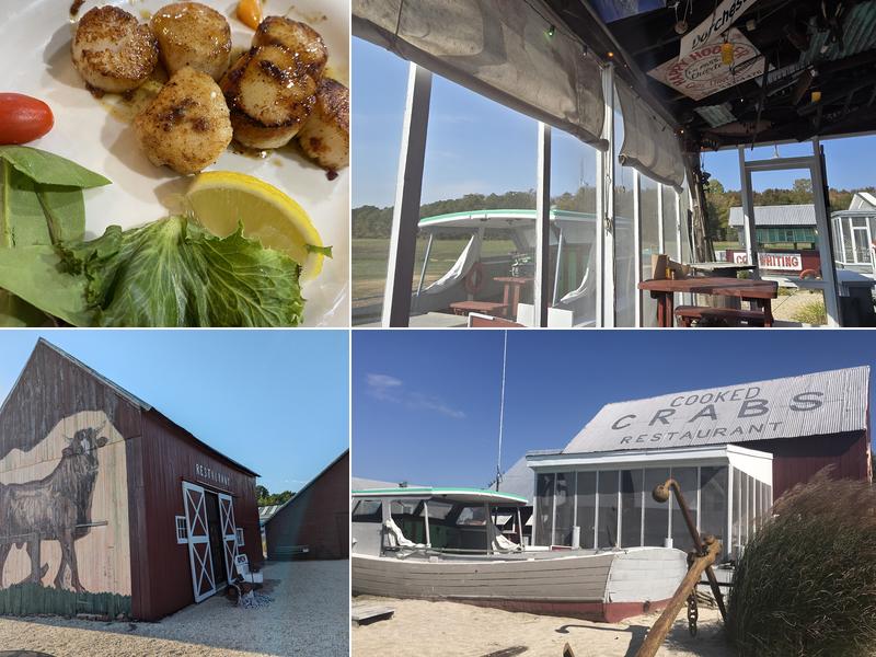 Bull On the Barn Bayshore Crab House