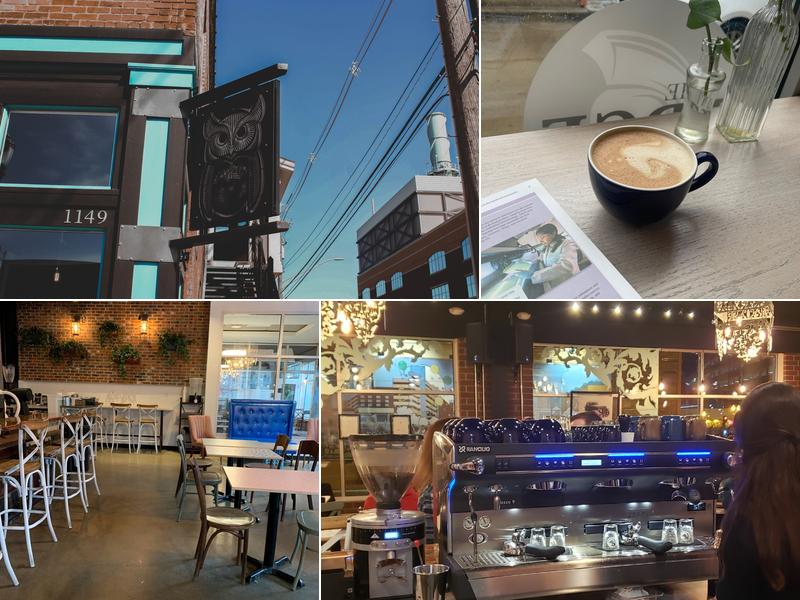 Blue Owl Coffee East Lansing