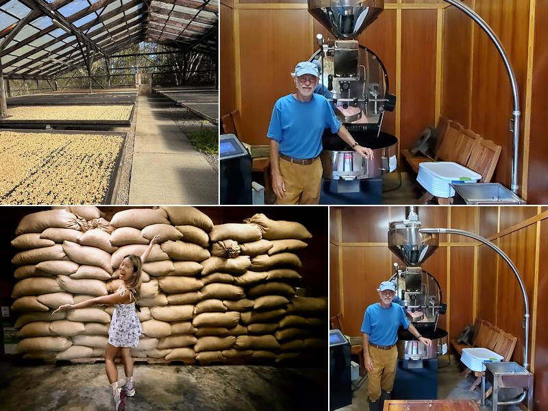 Hawaiian Cloud Forest Coffee