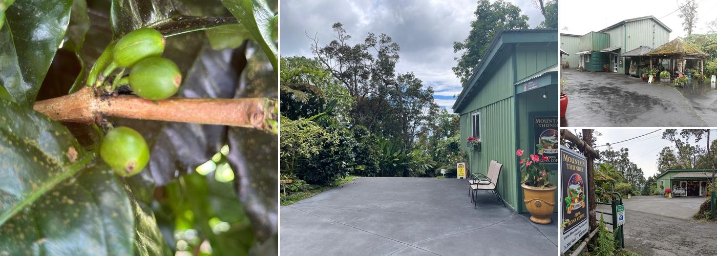 Mountain Thunder Coffee Plantation