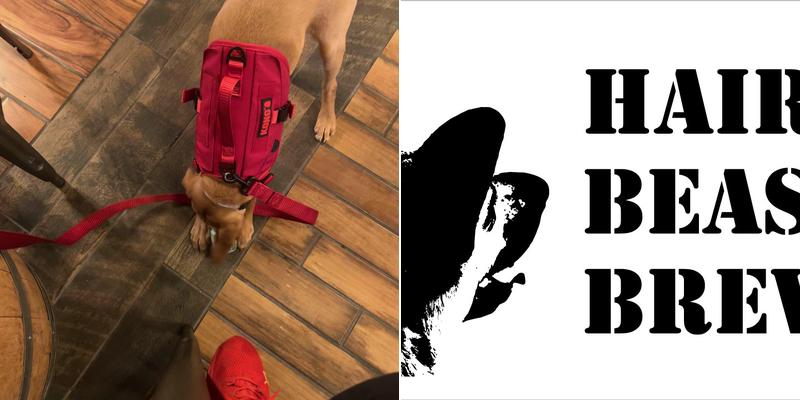 Hairy Beast Brewing Menu