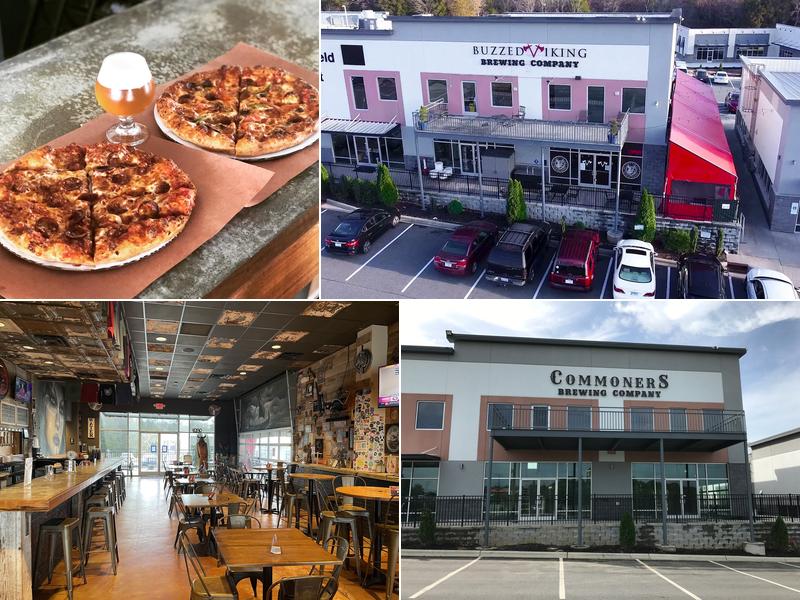 Buzzed Viking Brewing Co. & Meadery Concord